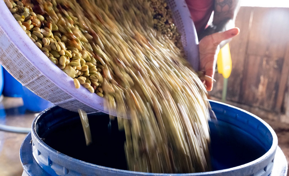 fermentačna nádoba s vodou